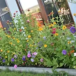 Bbs 3* Κλουζ-Ναπόκα