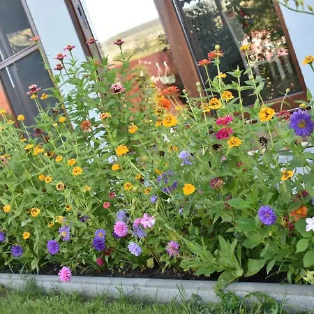 Bbs 3* קלוז'-נאפוקה