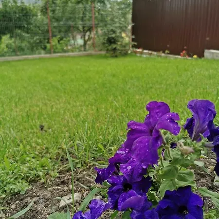 Bbs Guest house