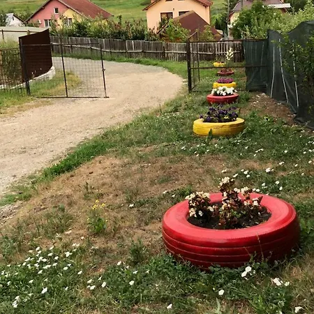 Guest house Bbs Cluj-Napoca