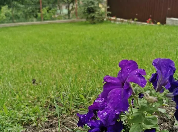 Bbs 게스트하우스